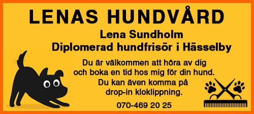 Hundvård